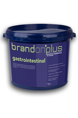 Gastrointestinal - leczenie wrzodów 3 kg
