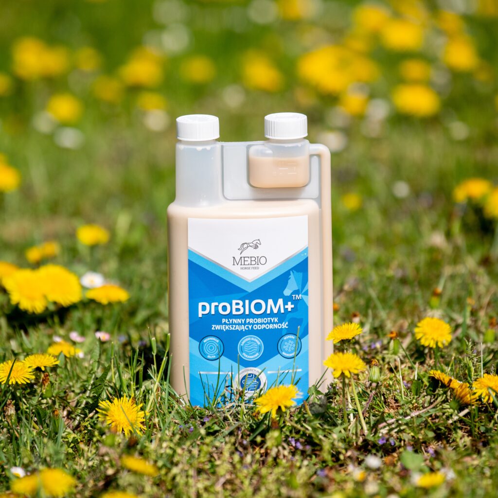 Mebio proBIOM+ płynny probiotyk zwiększający odporność 1l DARMOWA WYSYŁKA