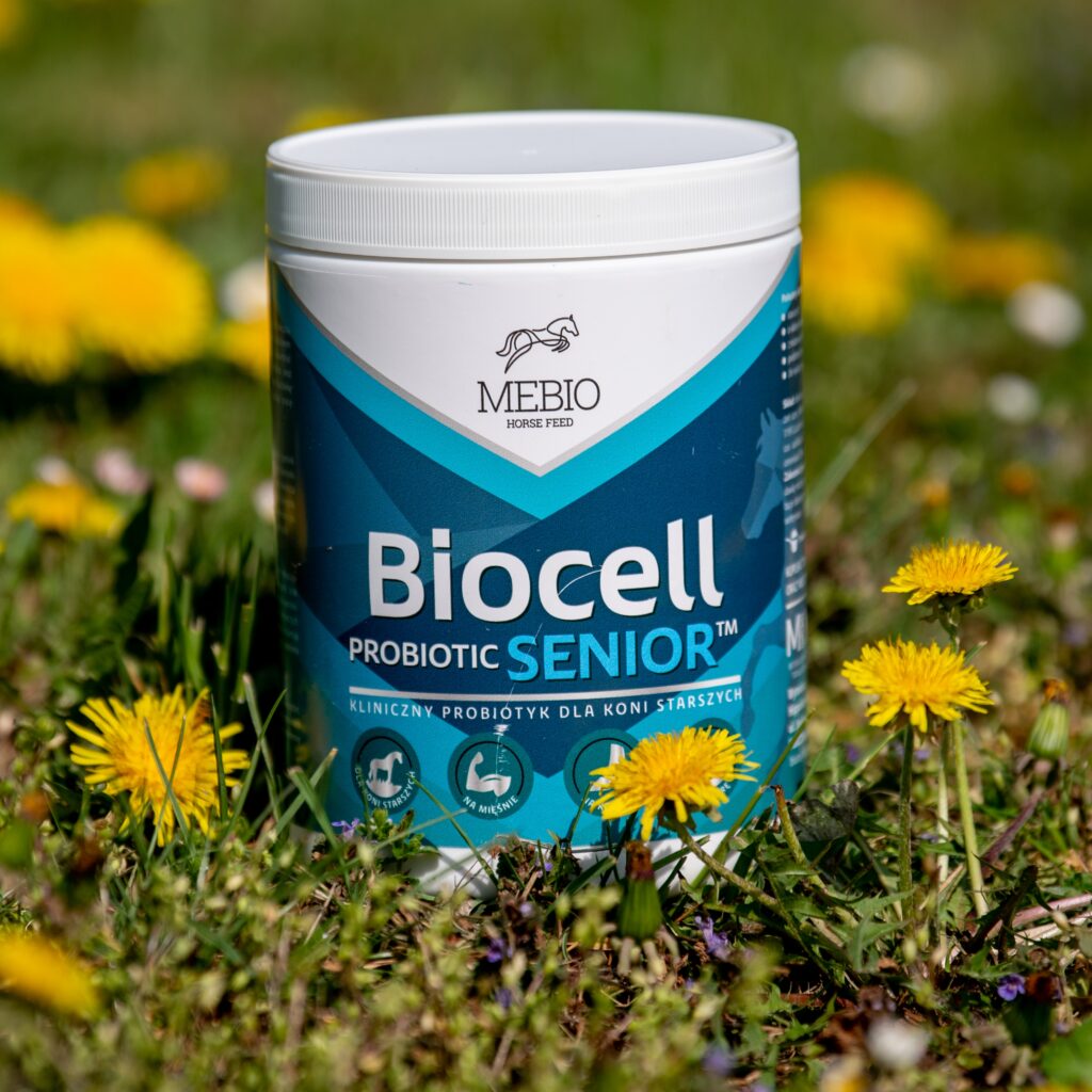 BioCELL PROBIOTIC Senior - probiotyk  Mebio1 kg DARMOWA WYSYŁKA